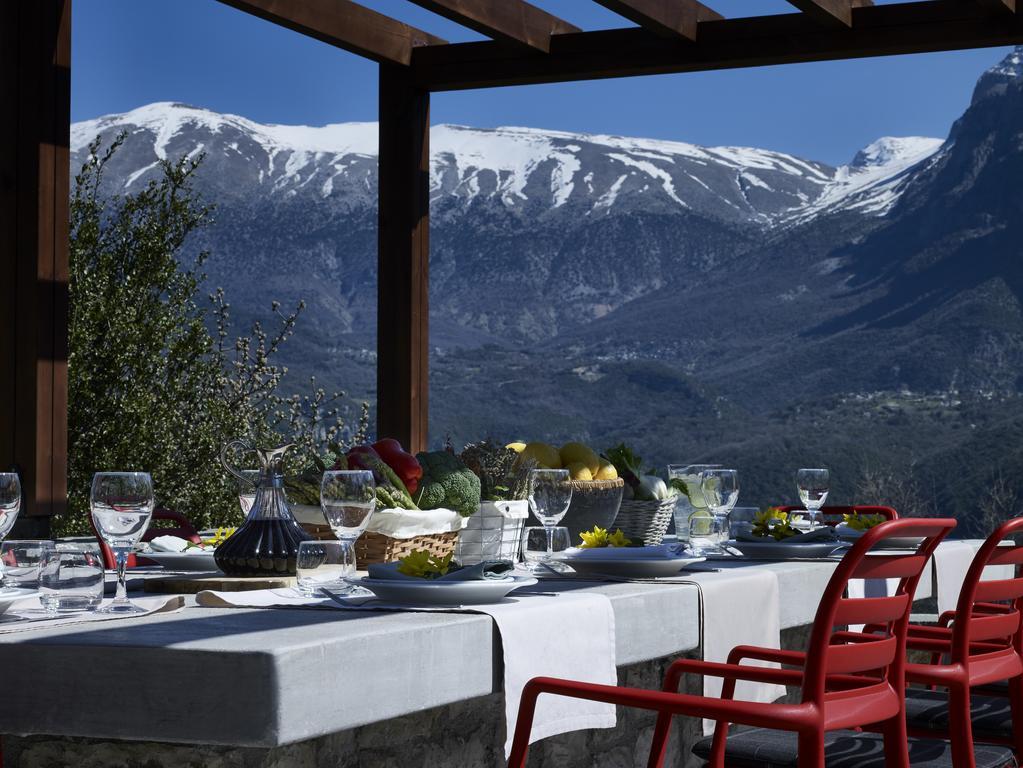 Aristi Mountain Resort Dış mekan fotoğraf